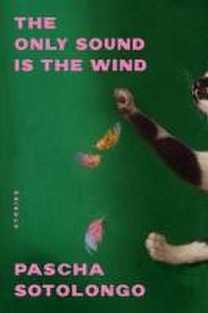 The Only Sound Is the Wind – Stories de Pascha Sotolongo