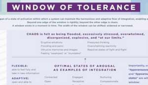 Window of Tolerance Laminated Card de Daniel J. Siegel