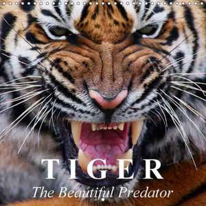 Tiger . The Beautiful Predator (Wall Calendar 2018 300 × 300 mm Square) de Elisabeth Stanzer