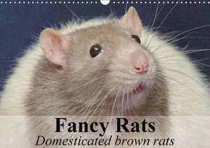 Fancy Rats Domesticated brown rats (Wall Calendar 2018 DIN A3 Landscape) de Elisabeth Stanzer