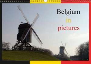 Belgium in pictures (Wall Calendar 2018 DIN A3 Landscape) de Alain Gaymard