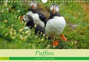 Puffins - small birds very big (Wall Calendar 2020 DIN A4 Landscape) de Babett Paul - Babett's Bildergalerie