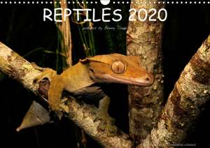 REPTILES / UK-Version (Wall Calendar 2020 DIN A3 Landscape) de Benny Trapp