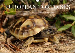 European Tortoises / UK-Version (Wall Calendar 2020 DIN A3 Landscape) de Benny Trapp