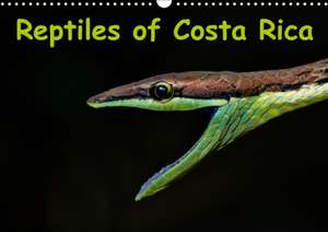 Reptiles of Costa Rica / UK-version (Wall Calendar 2020 DIN A3 Landscape) de Stefan Dummermuth