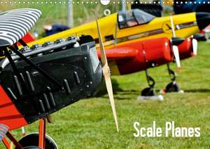 Scale Planes / UK-Version (Wall Calendar 2020 DIN A3 Landscape) de Bernd Selig