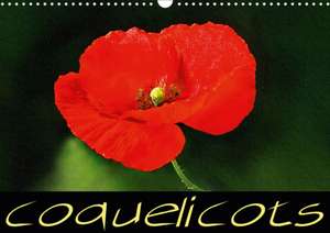 Coquelicots (Calendrier mural 2020 DIN A3 horizontal) de k. A. Sudpastel