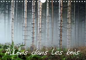 Allons dans les bois (Calendrier mural 2020 DIN A4 horizontal) de Daniel Guffanti