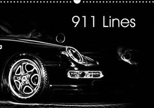 911 Lines (Wall Calendar 2020 DIN A3 Landscape) de Nupho Nihat Uysal Photography