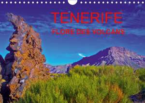 TENERIFE FLORE DES VOLCANS (Calendrier mural 2020 DIN A4 horizontal) de Jean-Luc Bohin