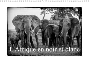 L' Afrique en noir et blanc (Calendrier mural 2020 DIN A3 horizontal) de Alain Gaymard