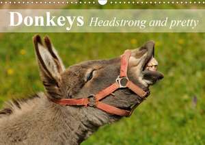 Donkeys Headstrong and pretty (Wall Calendar 2020 DIN A3 Landscape) de Elisabeth Stanzer