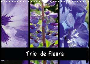 Trio de fleurs (Calendrier mural 2020 DIN A4 horizontal) de Martina Busch