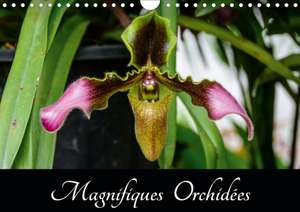 Magnifiques Orchidées (Calendrier mural 2020 DIN A4 horizontal) de Juergen Woehlke