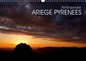 Ambiances Ariège Pyrénées (Calendrier mural 2020 DIN A3 horizontal) de Fabien Boutet