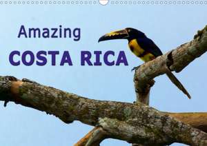 Amazing Costa Rica (Wall Calendar 2020 DIN A3 Landscape) de Andreas Schoen