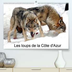 Les loups de la Côte d'Azur(Premium, hochwertiger DIN A2 Wandkalender 2020, Kunstdruck in Hochglanz) de Alain Hanel