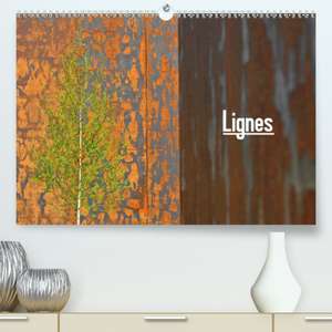 Lignes(Premium, hochwertiger DIN A2 Wandkalender 2020, Kunstdruck in Hochglanz) de Patrice Thebault