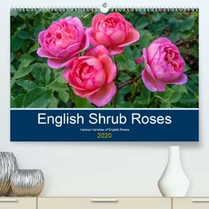 English Shrub Roses(Premium, hochwertiger DIN A2 Wandkalender 2020, Kunstdruck in Hochglanz) de Craig Russell