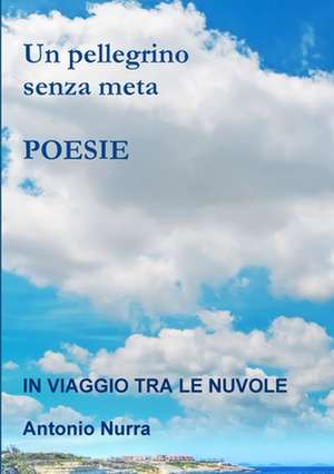Un Pellegrino Senza Meta de Antonio Nurra