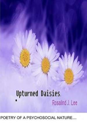 Upturned Daisies de Rosalind J. Lee