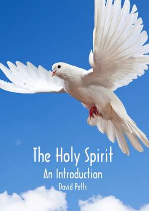 The Holy Spirit, an Introduction de David Petts