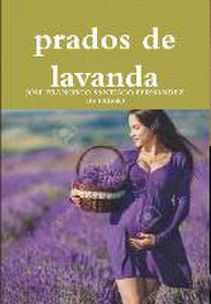 Prados de Lavanda de Jose Franci Santiago Fernandez De Obeso