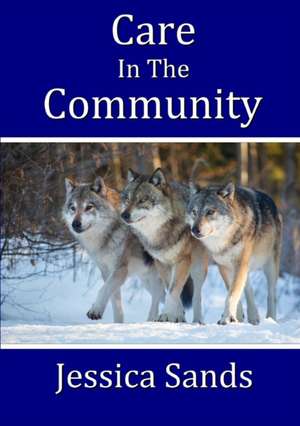 Care in the Community de Jessica Sands