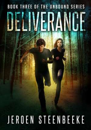 Deliverance de Jeroen Steenbeeke