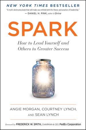 Spark: How to Lead Yourself and Others to Greater Success de Angie Morgan