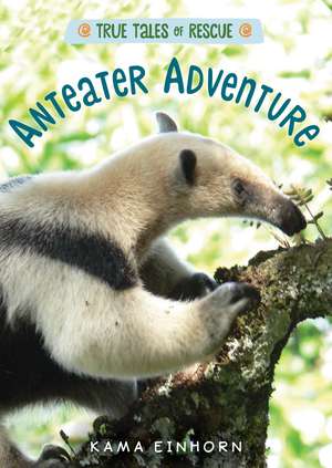 Anteater Adventure de Kama Einhorn