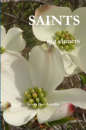 Saints Not Sinners de Kevin Don Levellie