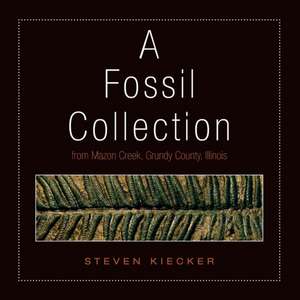 A Fossil Collection de Steven Kiecker