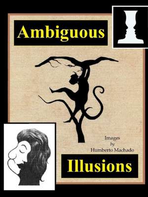 Ambiguous Illusions de Humberto Machado