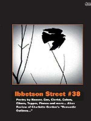 Ibbetson Street #38 de Doug Holder