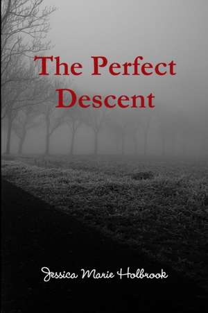 The Perfect Descent de Jessica Holbrook