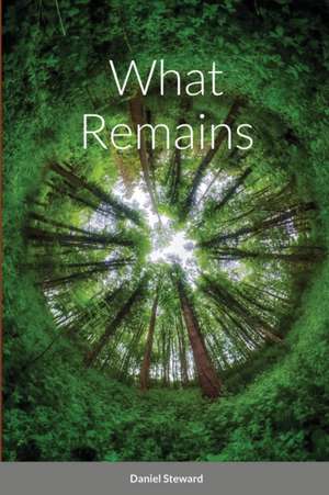 What Remains de Daniel Steward