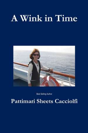 A Wink in Time de Pattimari Sheets Cacciolfi