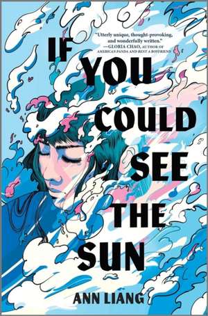 If You Could See the Sun de Ann Liang