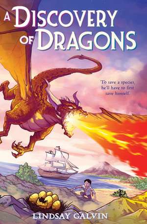 A Discovery of Dragons de Lindsay Galvin