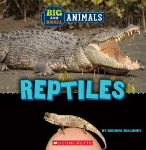 Reptiles (Wild World: Big and Small Animals) de Brenna Maloney