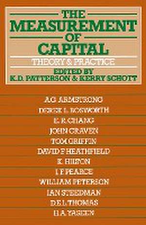 The Measurement of Capital: Theory and Practice de K.D. Patterson