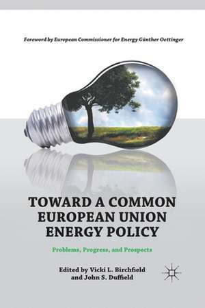 Toward a Common European Union Energy Policy: Problems, Progress, and Prospects de V. Birchfield