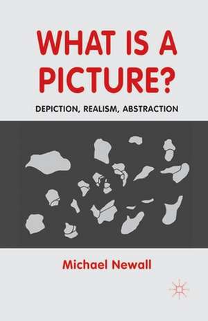 What is a Picture?: Depiction, Realism, Abstraction de M. Newall