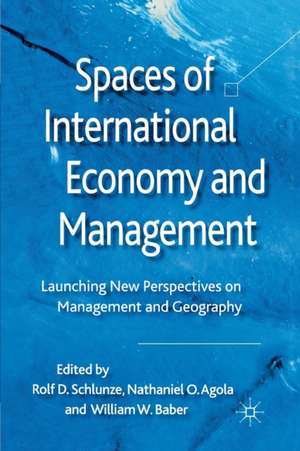 Spaces of International Economy and Management: Launching New Perspectives on Management and Geography de R. D Schlunze