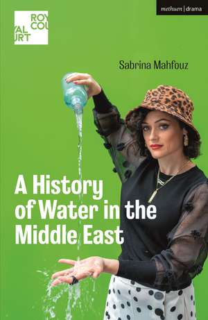 A History of Water in the Middle East de Sabrina Mahfouz