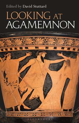 Looking at Agamemnon de David Stuttard