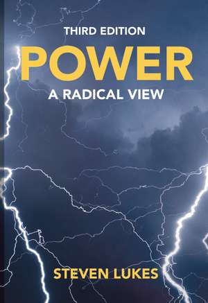 Power: A Radical View de Steven Lukes