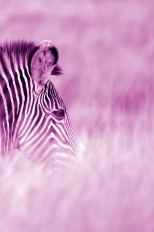 Alive! Zebra Stripes - Magenta Duotone - Photo Art Notebooks (6 X 9 Series) de Eva-Lotta Jansson