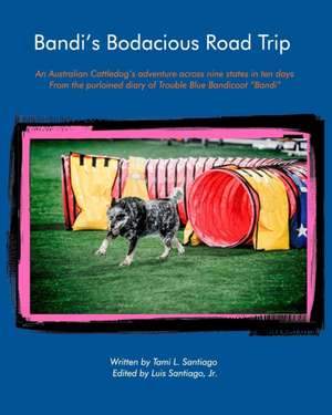 Bandi's Bodacious Road Trip de Luis Santiago Jr